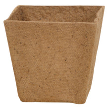 Load image into Gallery viewer, Pot of Daisy Seeds