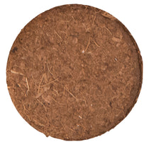 Load image into Gallery viewer, Pot of Basil Seeds