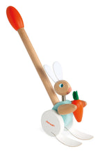 Load image into Gallery viewer, Push Along Rabbit