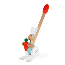 Load image into Gallery viewer, Push Along Rabbit