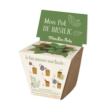 Load image into Gallery viewer, Pot of Basil Seeds