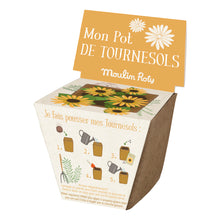 Load image into Gallery viewer, Pot of Sunflower Seeds